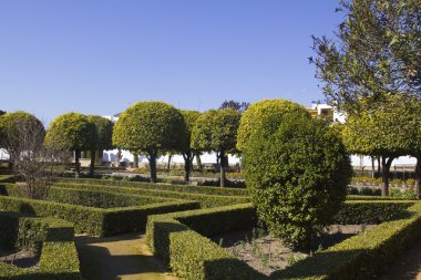 Gardens of the alcazar in Cordoba clipart