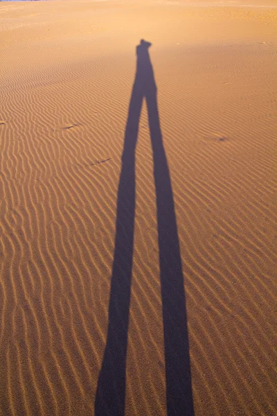 Fotograaf silhouet op het zand. — Stockfoto