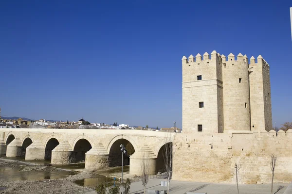 Toren van de calahorra en Romeinse brug. Cordoba. — Stockfoto