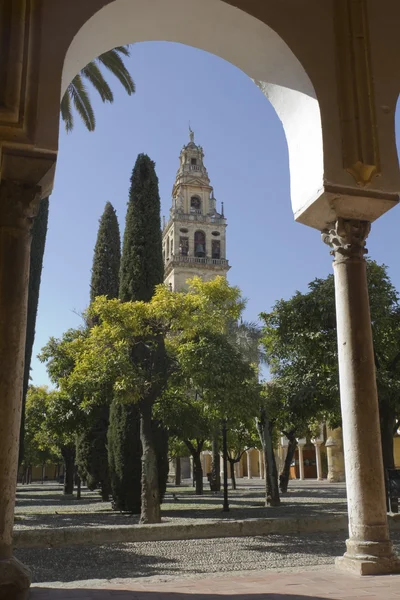 Cordoba Katedrali — Stok fotoğraf