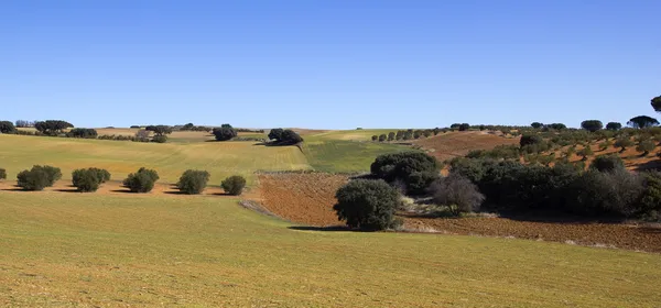 Panorâmica dos campos em Castela-La Mancha, Espanha .. — Fotografia de Stock