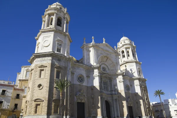 Antigua Catedral de Cádiz . —  Fotos de Stock