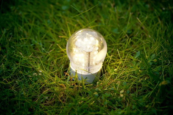 Llevó la lámpara en la hierba — Foto de Stock