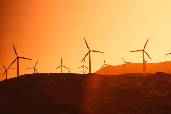 Electric wind turbines farm silhouettes on sun background — Stock Photo, Image