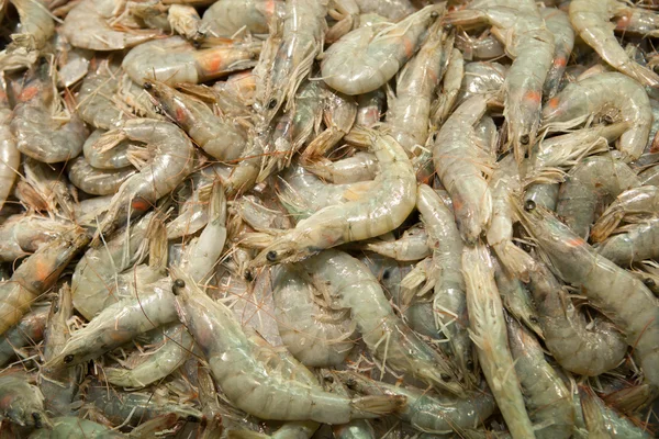 Multitude de crevettes crues — Photo