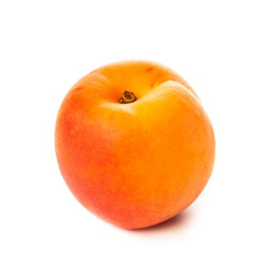 Apricot isolated on white clipart