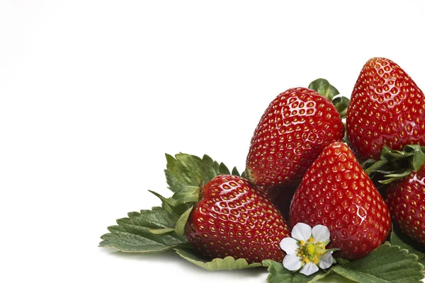 Strawberries and a copy space. — Stock Photo, Image