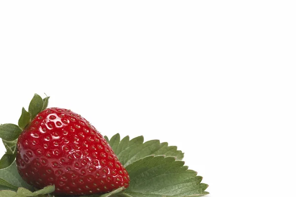 Strawberry on the left. — Stock Photo, Image