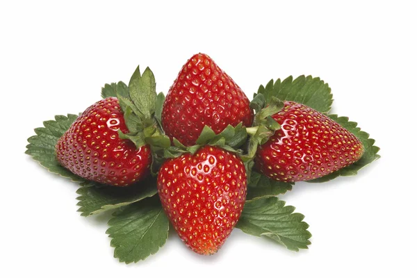 Four strawberries with leaves. — Stock Photo, Image
