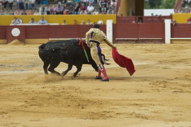 Bullfighter in the bullring. clipart