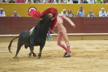 Bullfighter clipart