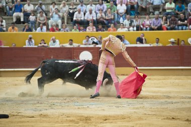 Typical bullfight. clipart