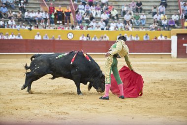 Typical bullfight. clipart