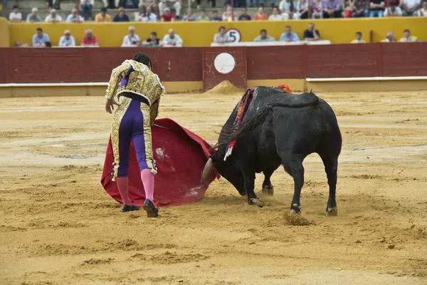 Bulllfighter in actie. — Stockfoto