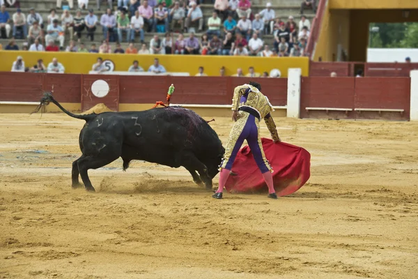 Bullfighter in the arena — Stock Photo, Image