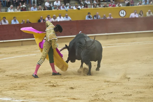 Typische stierengevecht. — Stockfoto
