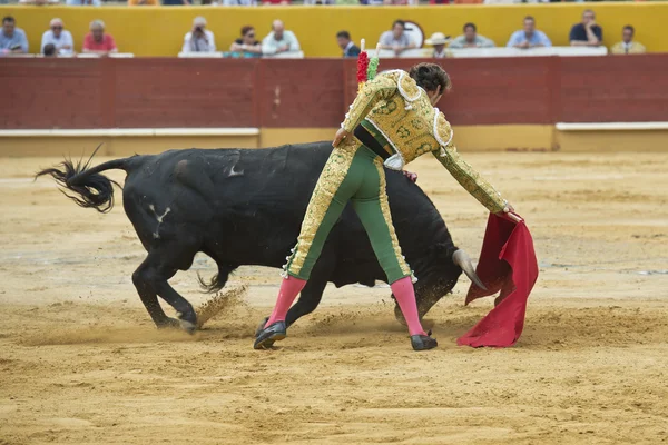 Torero. — Stock Photo, Image