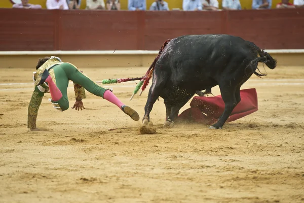 Accident at the bullring. — Stock fotografie