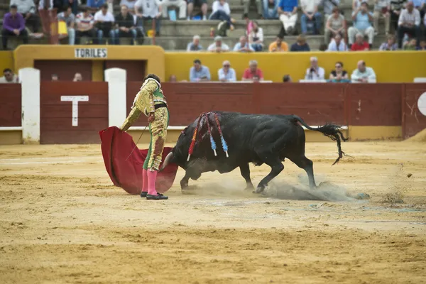 Peleando con el toro . — Foto de Stock