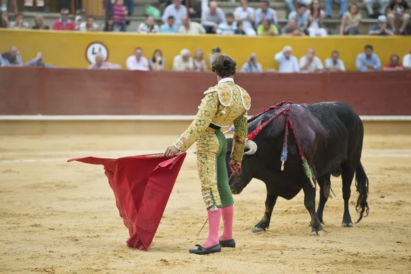 Bullfighter fighting. — Stock Photo, Image