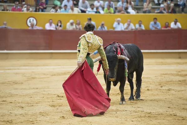 Bullfighter fighting. — Stock Photo, Image