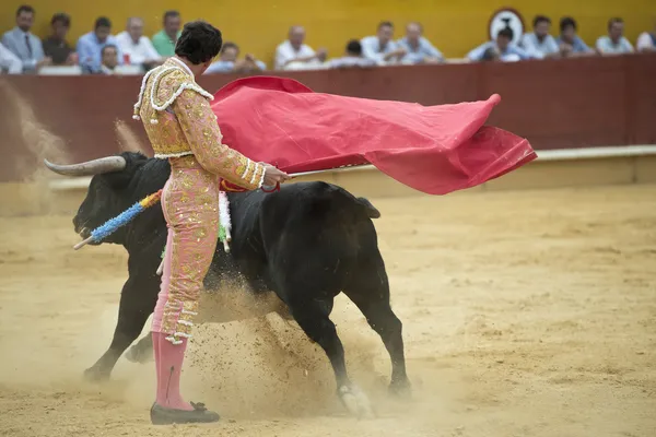 Matador — Stock Photo, Image