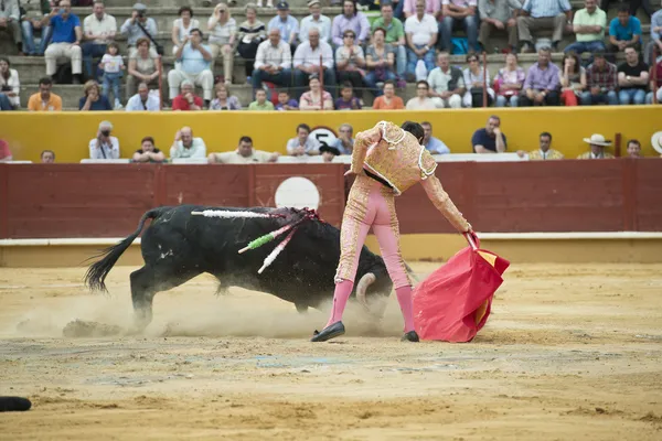 Typische stierengevecht. — Stockfoto