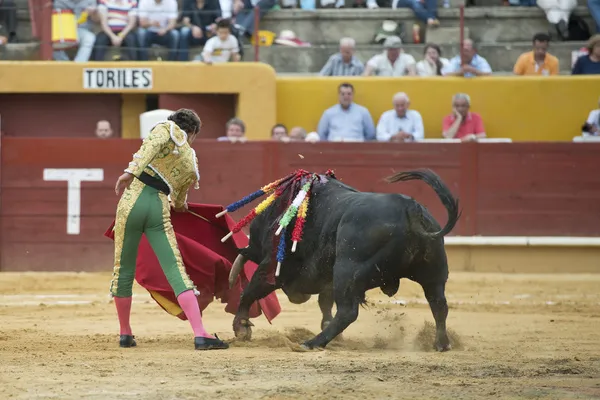 Bullfighter and bull. — Stock Photo, Image