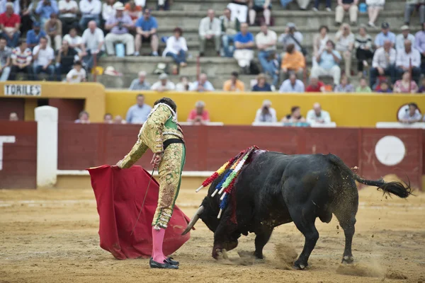Bullfighter no trabalho . — Fotografia de Stock