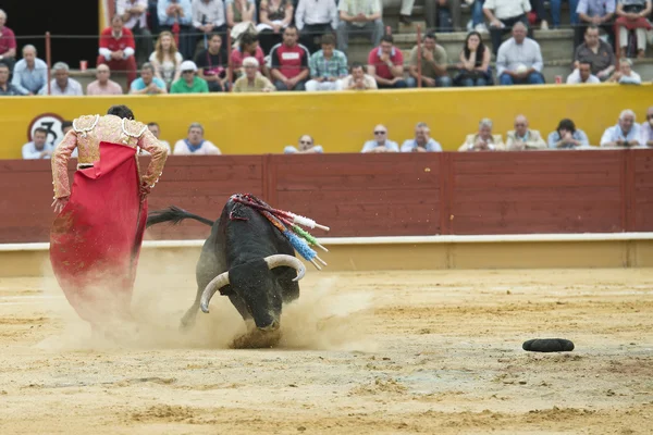 Fighting with the bull. — Stock Photo, Image
