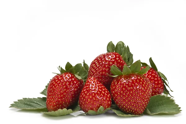 Erdbeeren und Blätter über Weiß. — Stockfoto