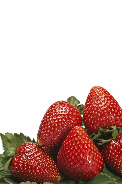 Erdbeeren am Boden. — Stockfoto