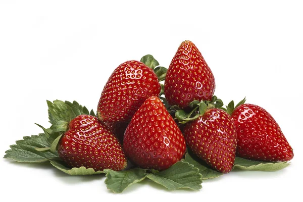 Erdbeeren mit Blättern isoliert über weiß. — Stockfoto
