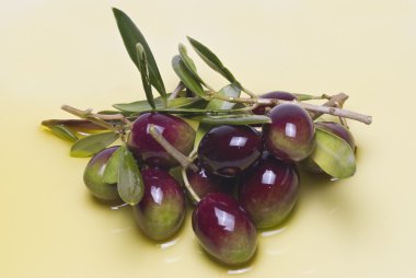 Colorful olives. clipart