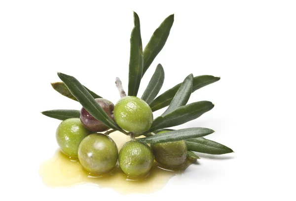 Zielone oliwki. — Zdjęcie stockowe