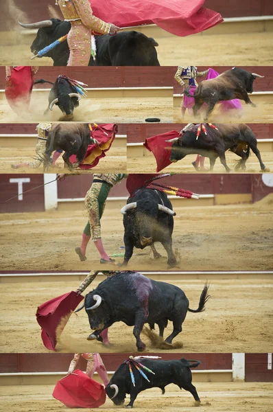 Collage om tjurfäktning. — Stockfoto