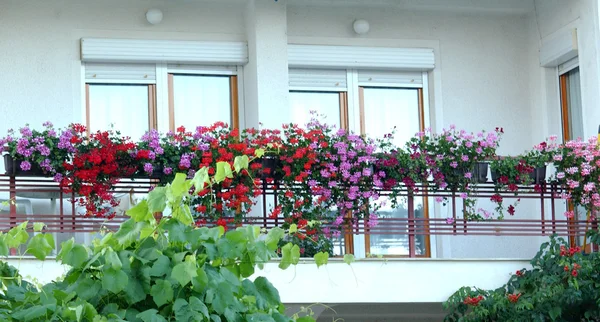 Μπαλκόνι γεμάτο λουλούδια — Φωτογραφία Αρχείου