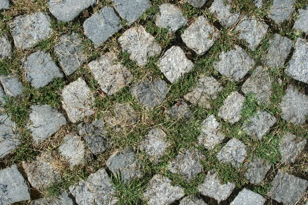 Stone pavement, grass — Stock Photo, Image