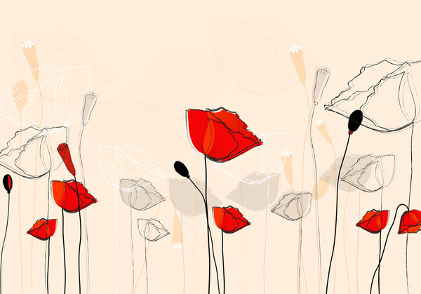 Прекрасные летние маки
