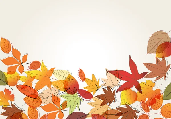 Colorful autumn leaves illustration — Stock Vector