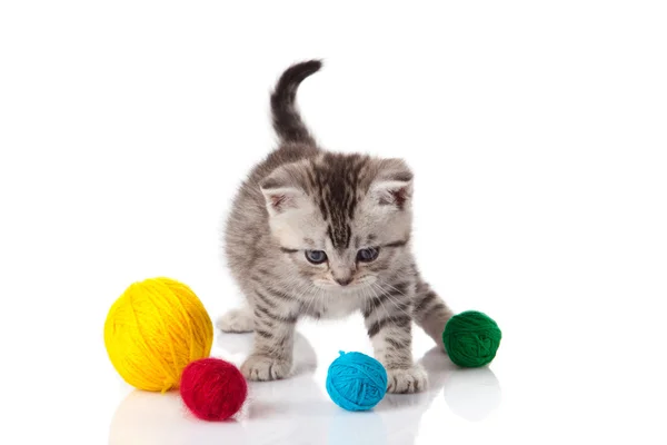 Gatito con bolas de hilos. gatito sobre fondo blanco. — Foto de Stock
