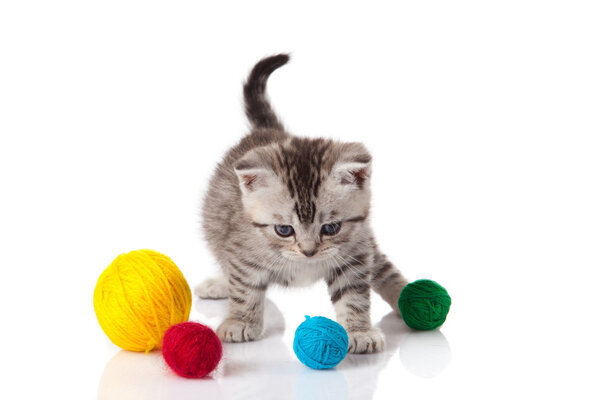 Kitten with balls of threads. little kitten on white background.
