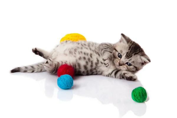Kattunge med bollar av trådar. liten kattunge på vit bakgrund. — Stockfoto