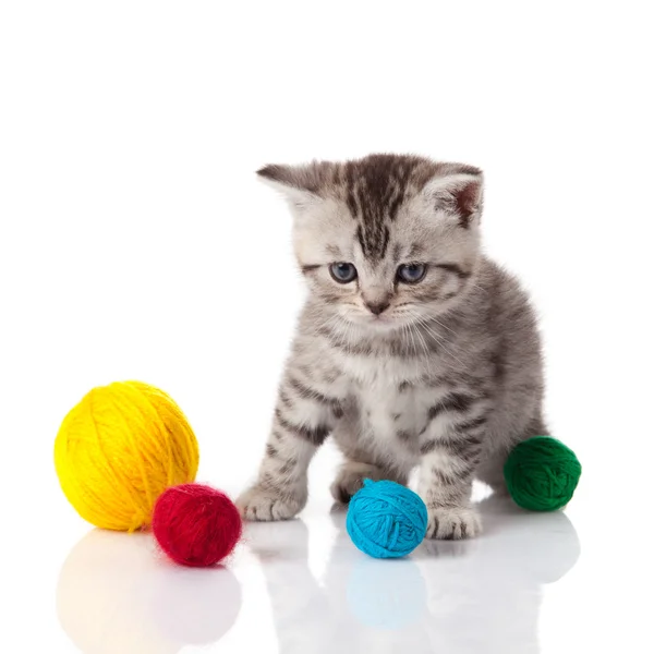 Kattunge med bollar av trådar. liten kattunge på vit bakgrund. — Stockfoto