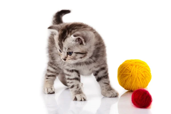 小猫的毛线球。白色背景的小猫咪. — 图库照片