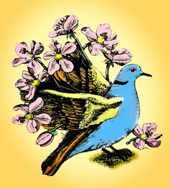 fantastic Paradise bird clipart