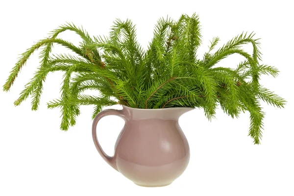 Not decorated Christmas fir — Stock Photo, Image