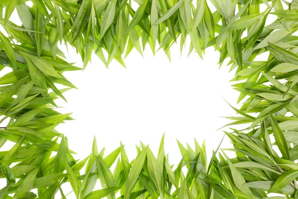 Rámec listy zelené trávy — Stock fotografie