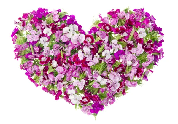 Pembe çiçekli güzel kız kalp kavramı — Stok fotoğraf