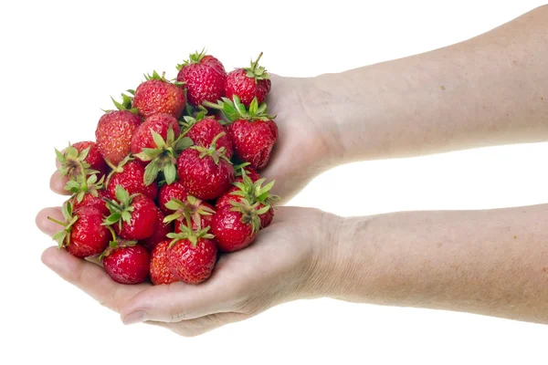 Las fresas en las manos —  Fotos de Stock